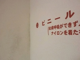 P9070059-s.jpg